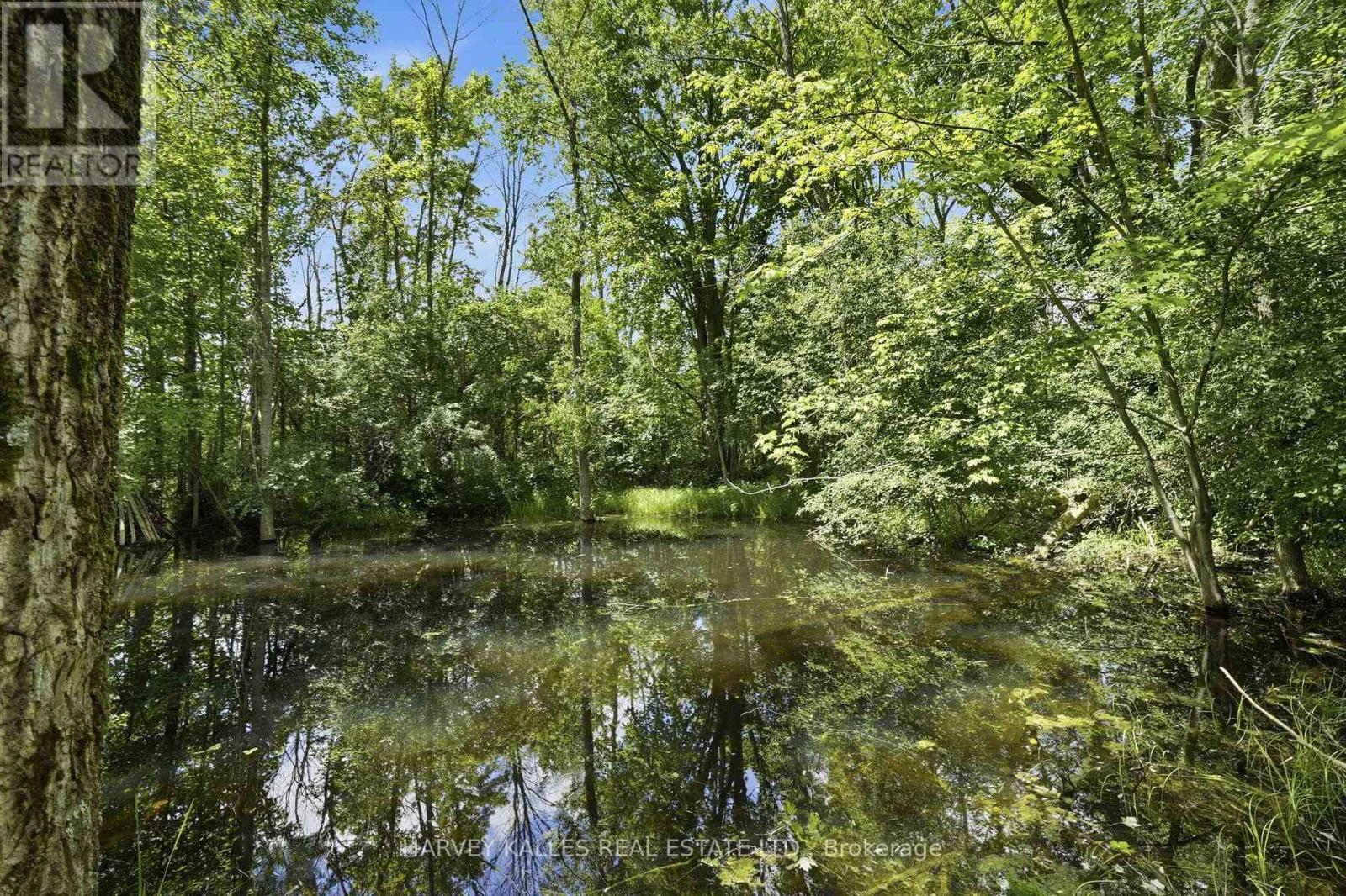 511 County Road 8, Prince Edward County, Ontario K0K 2T0 - Photo 39 - X13488462