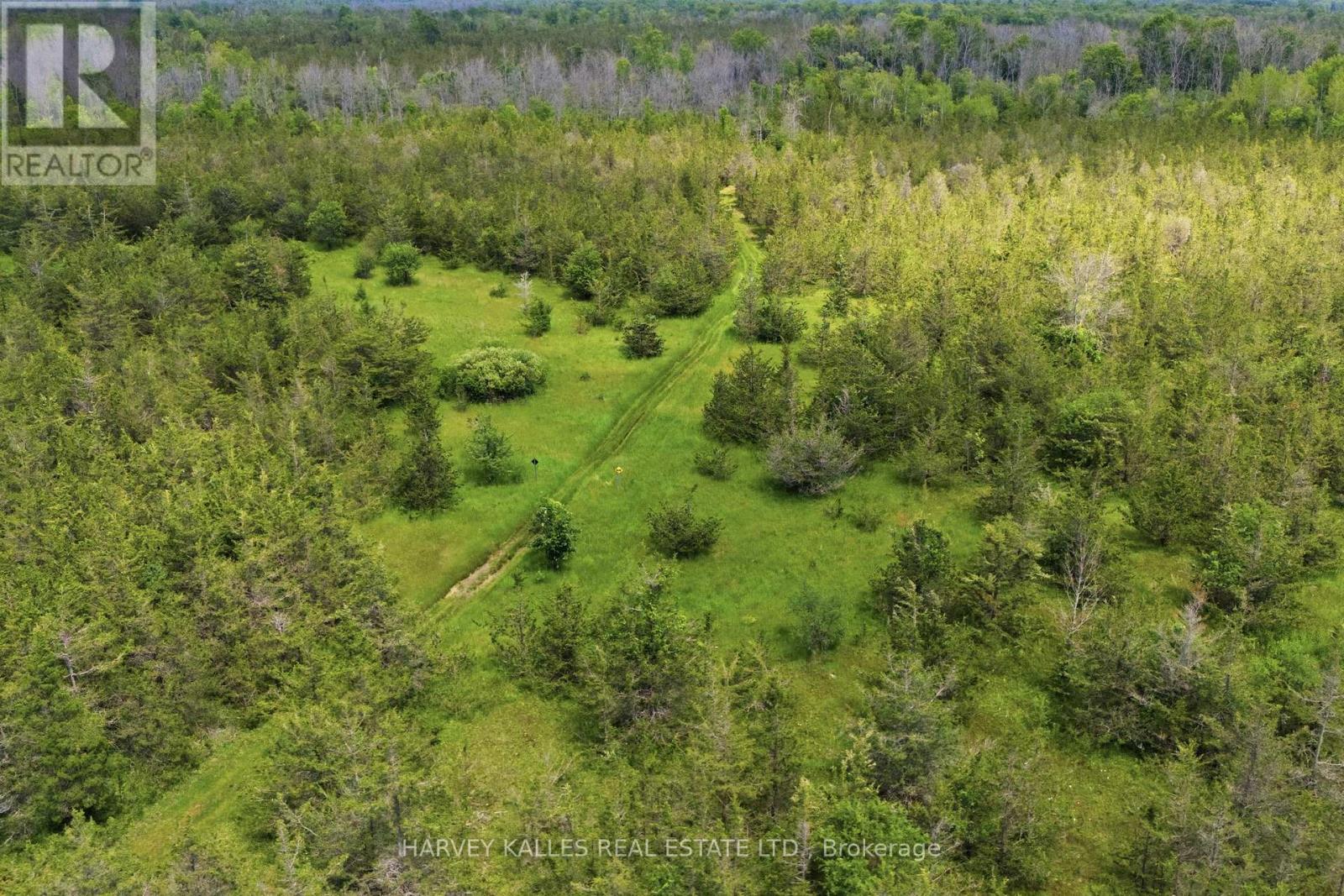 511 County Road 8, Prince Edward County, Ontario K0K 2T0 - Photo 45 - X13488462