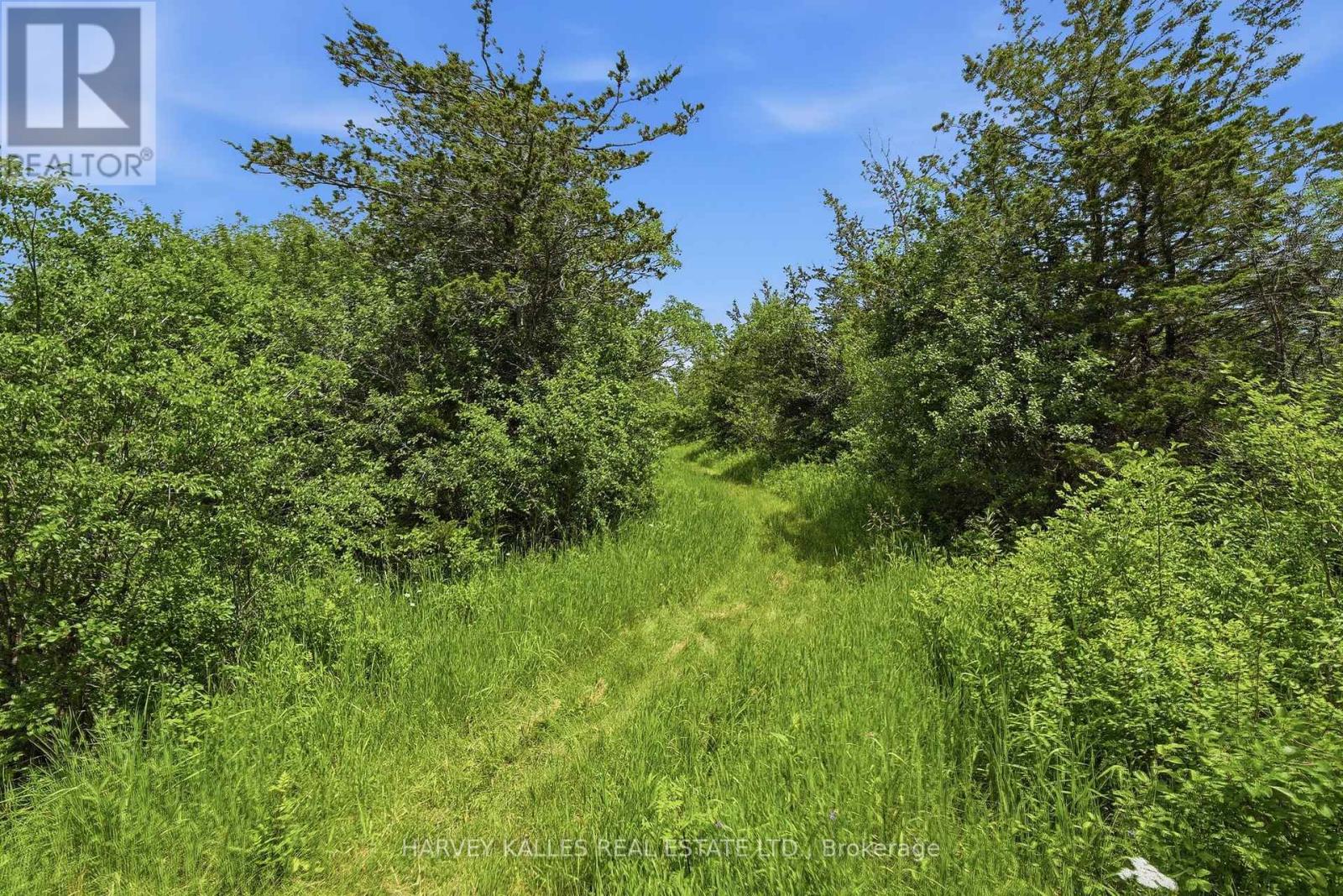 685 County 8 Road, Prince Edward County, Ontario  K0K 2T0 - Photo 10 - X13488936