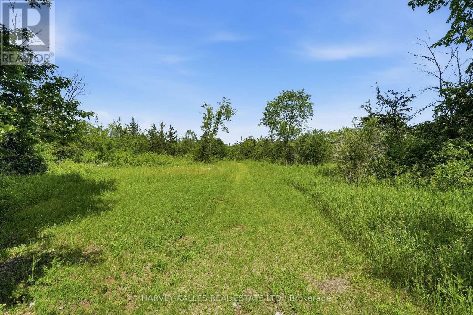 685 County 8 Road, Prince Edward County, Ontario  K0K 2T0 - Photo 11 - X13488936