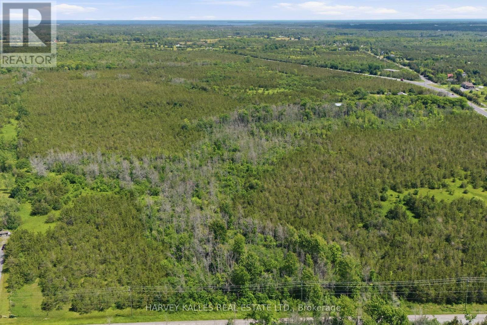 685 County 8 Road, Prince Edward County, Ontario  K0K 2T0 - Photo 4 - X13488936