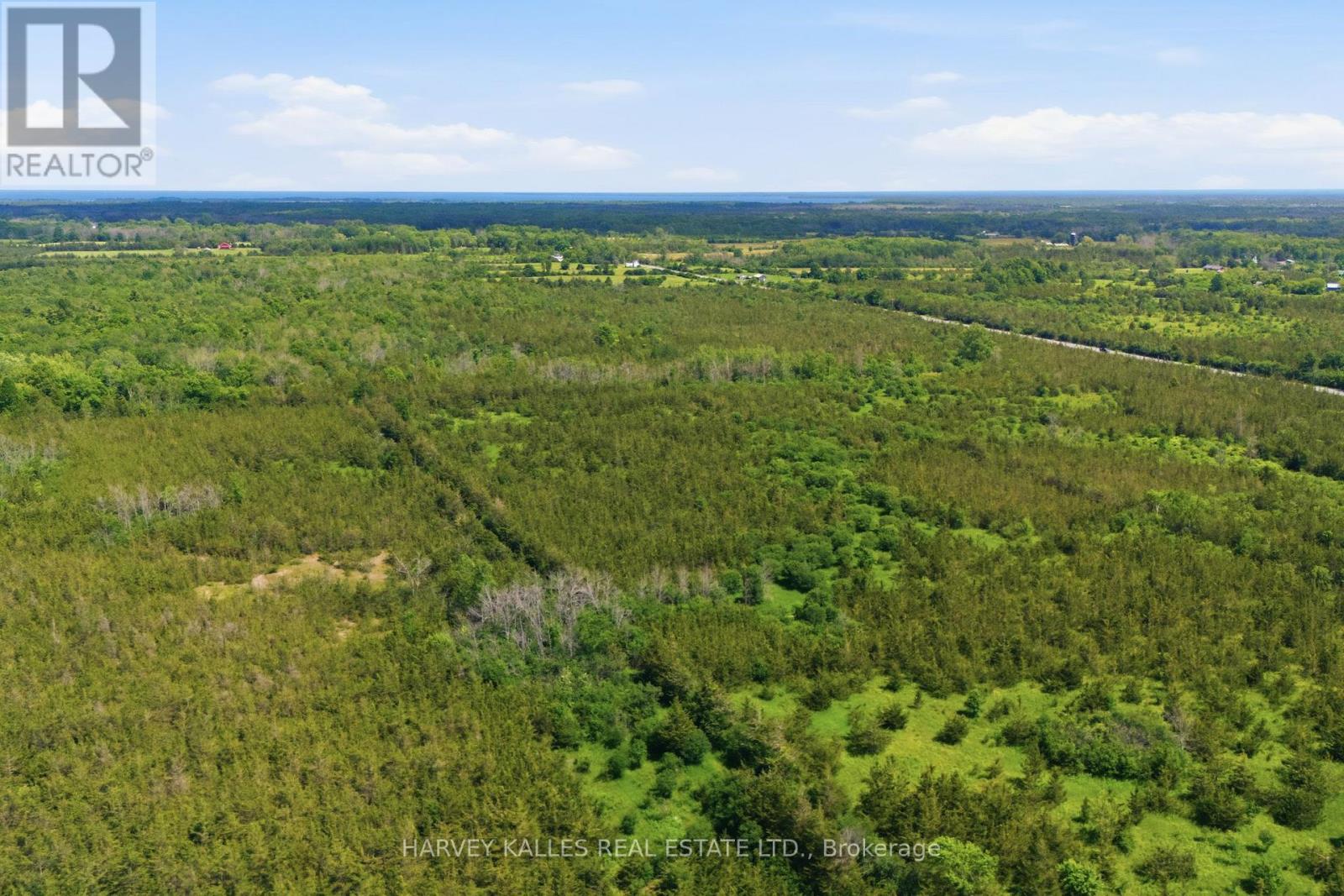 685 County 8 Road, Prince Edward County, Ontario  K0K 2T0 - Photo 6 - X13488936