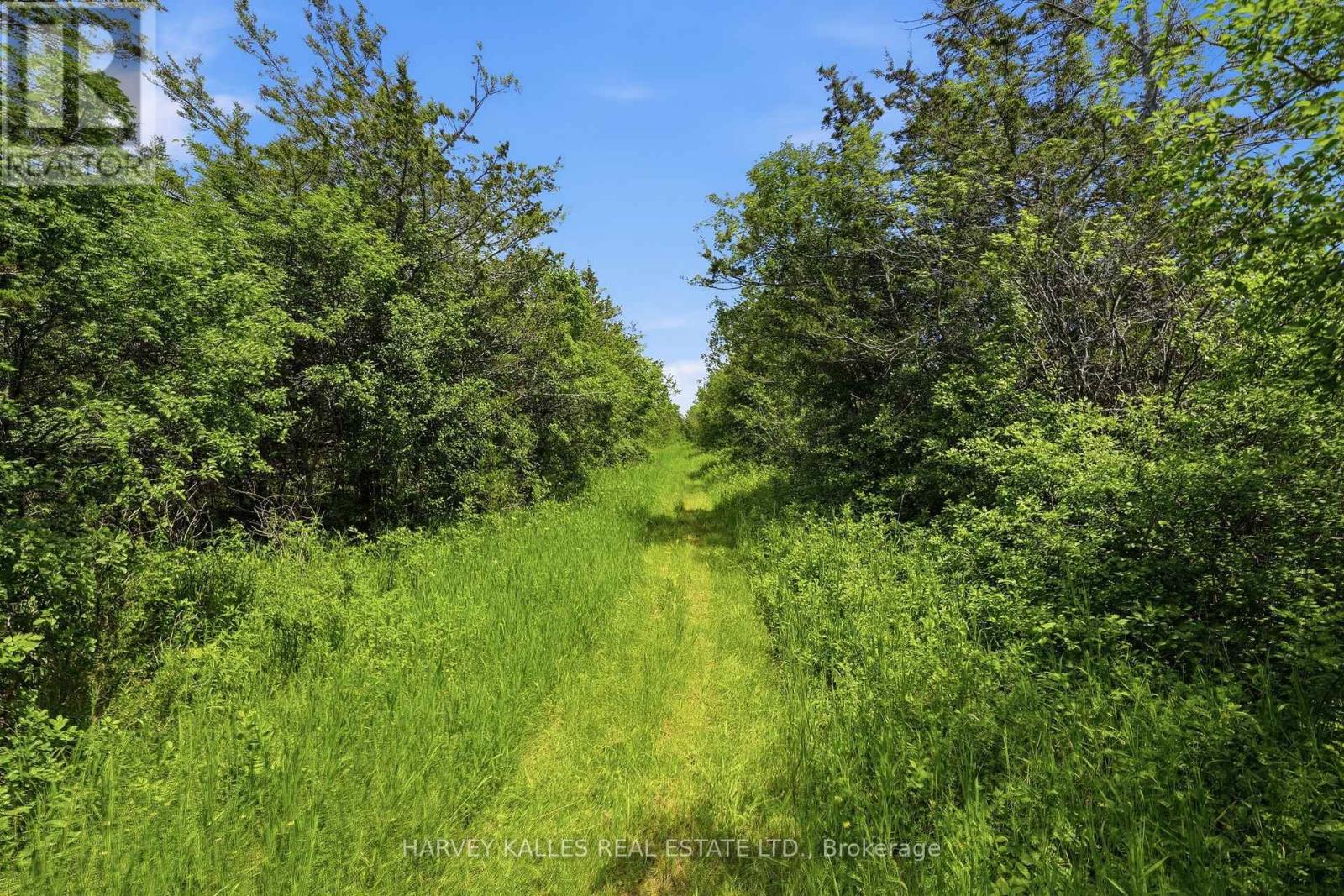 685 County 8 Road, Prince Edward County, Ontario  K0K 2T0 - Photo 9 - X13488936