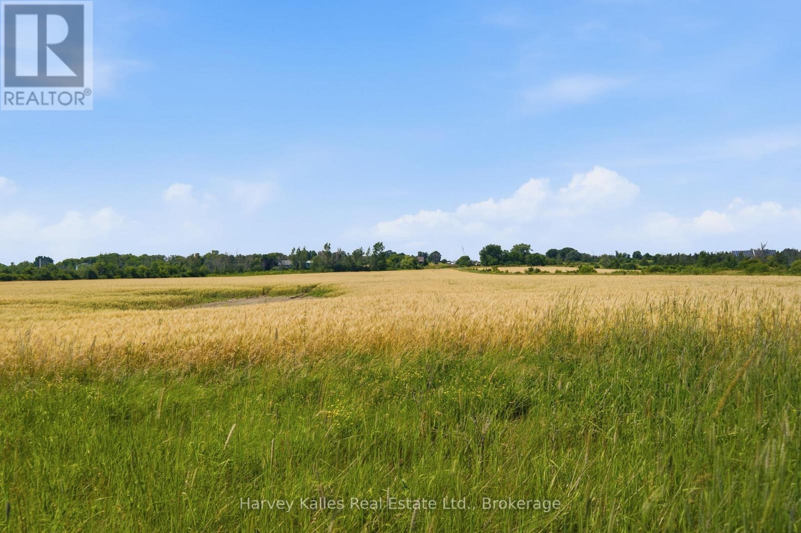 388 South Big Island Road, Prince Edward County, Ontario K0K 1W0 - Photo 48 - X13535806