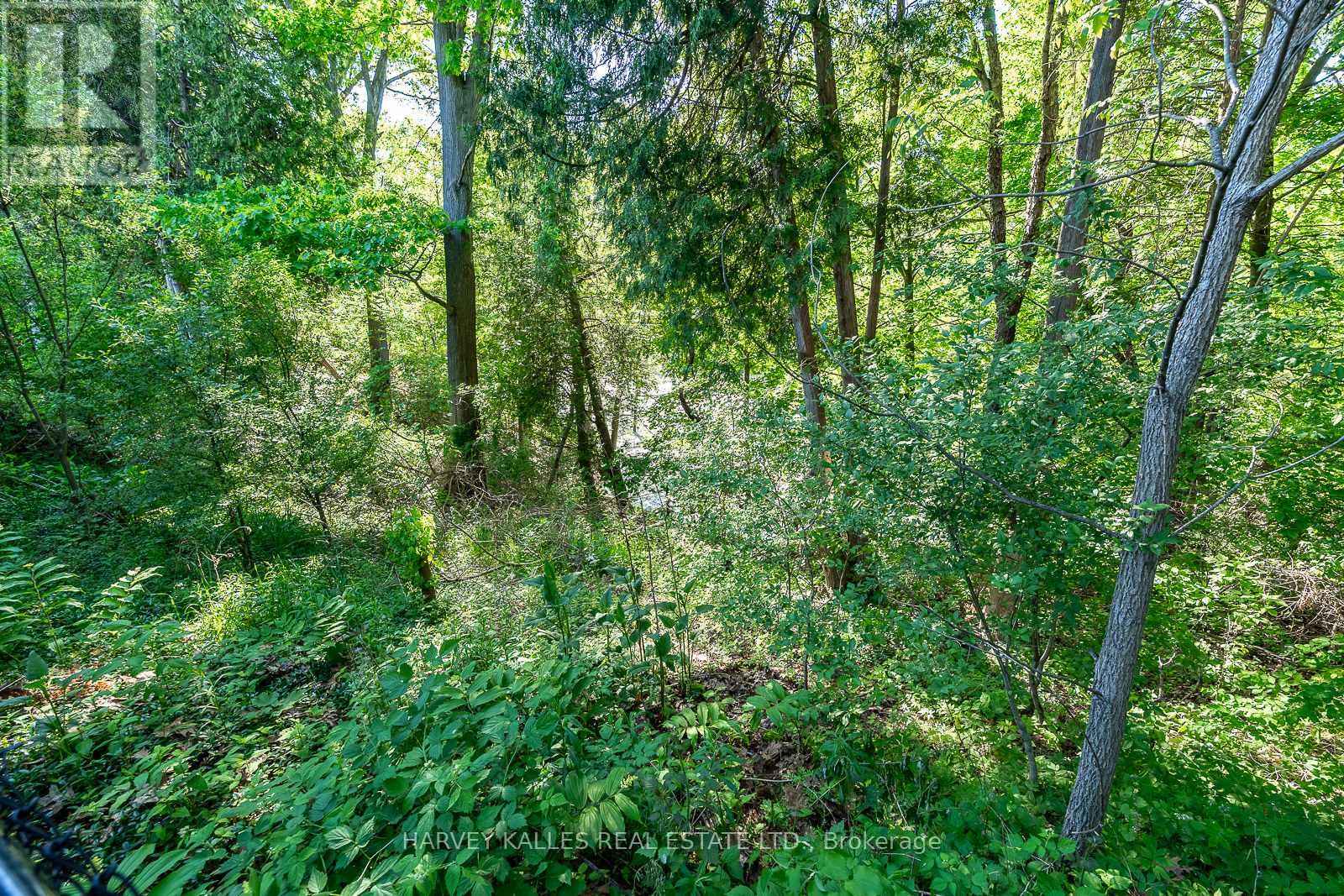 1033 Fair Birch Drive, Mississauga, Ontario  L5H 1M4 - Photo 44 - W13565272
