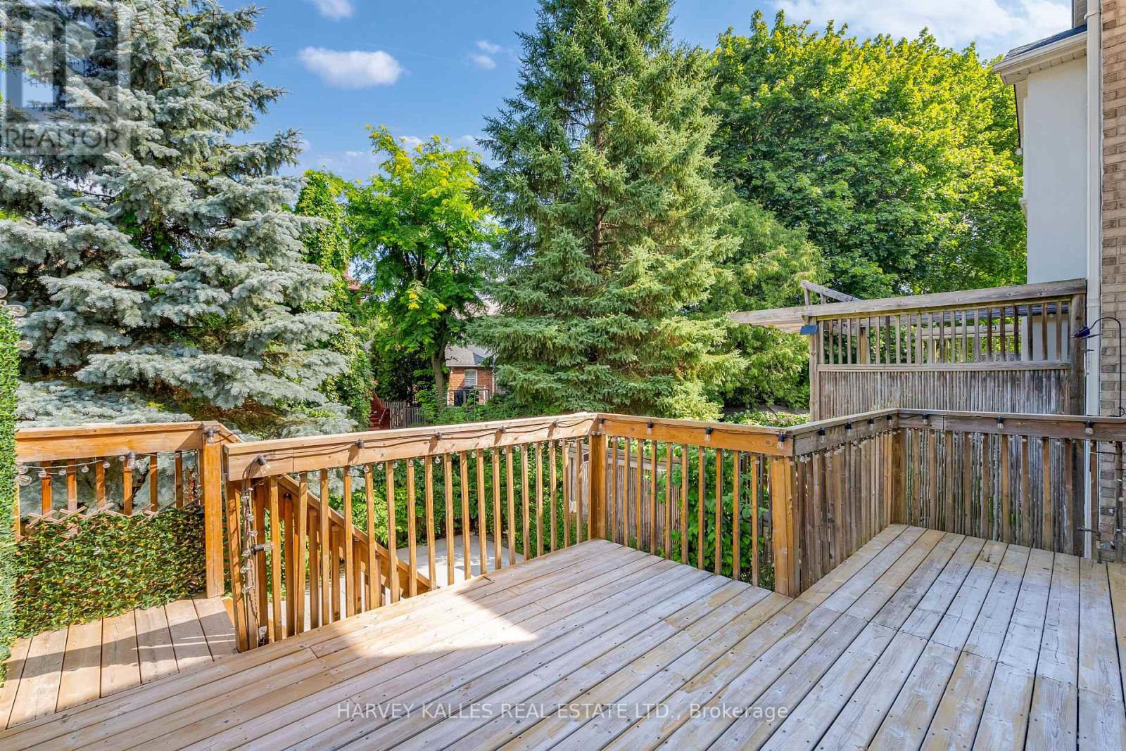 168 Roe Avenue, Toronto, Ontario M5M 2J2 - Photo 27 - C13567124