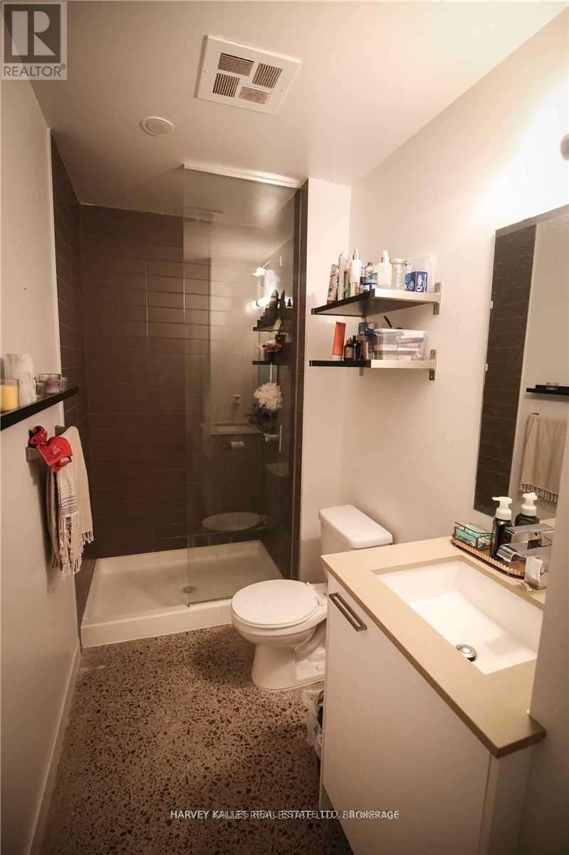 213 - 510 King Street E, Toronto, Ontario M5A 1M1 - Photo 9 - C13758922