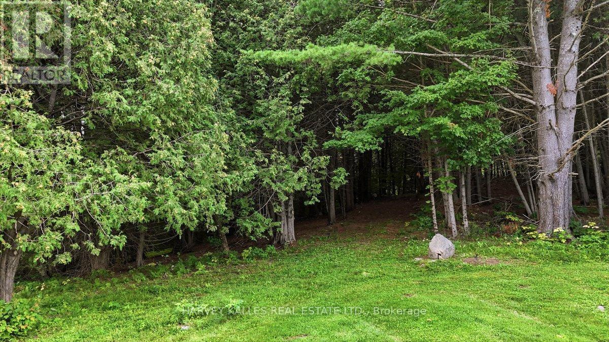 2755 Rapids Road, Tweed, Ontario K0K 3J0 - Photo 46 - X13809224