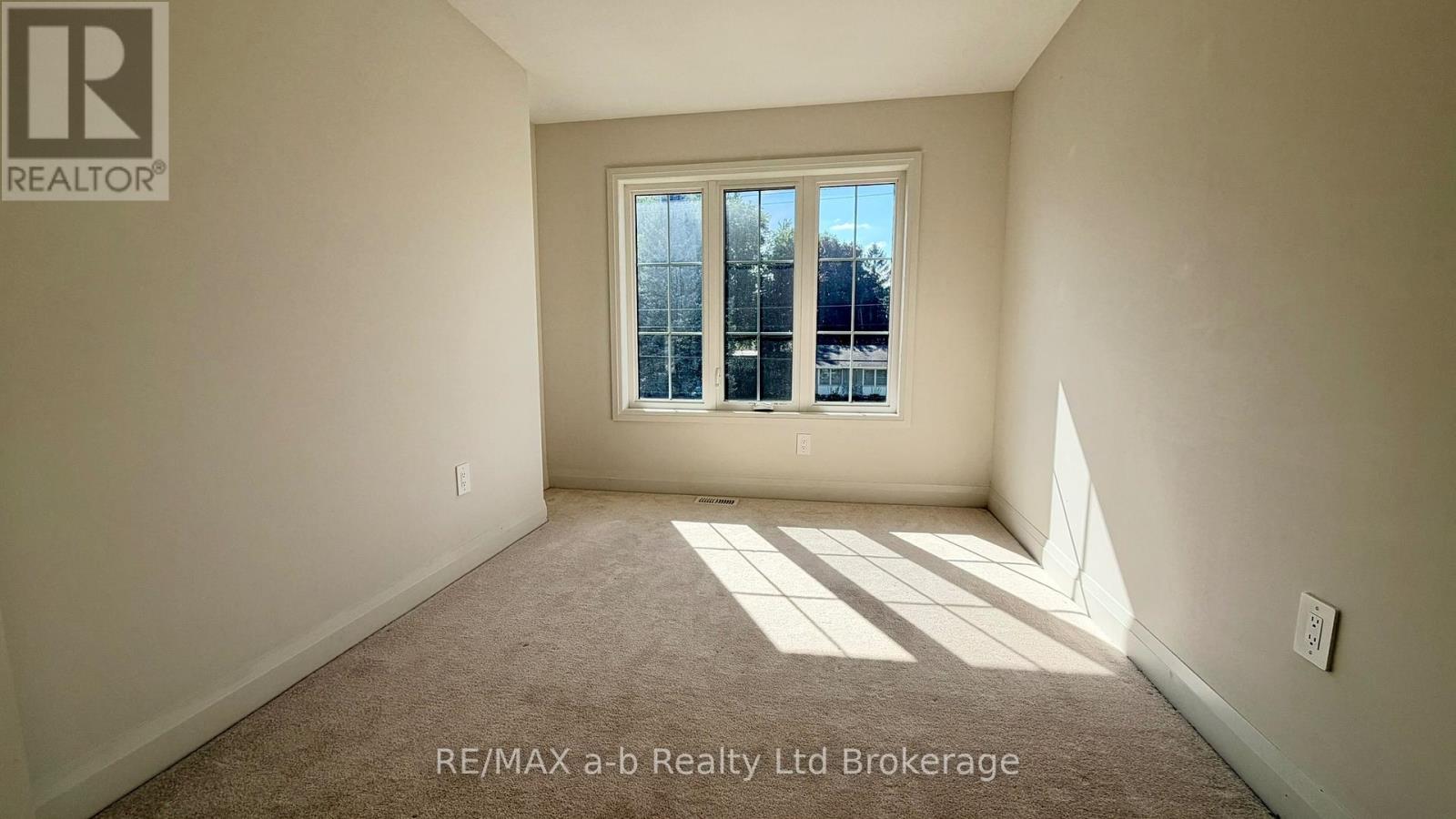 210 Middleton Street, Zorra, Ontario N0M 2N0 - Photo 11 - X13816074