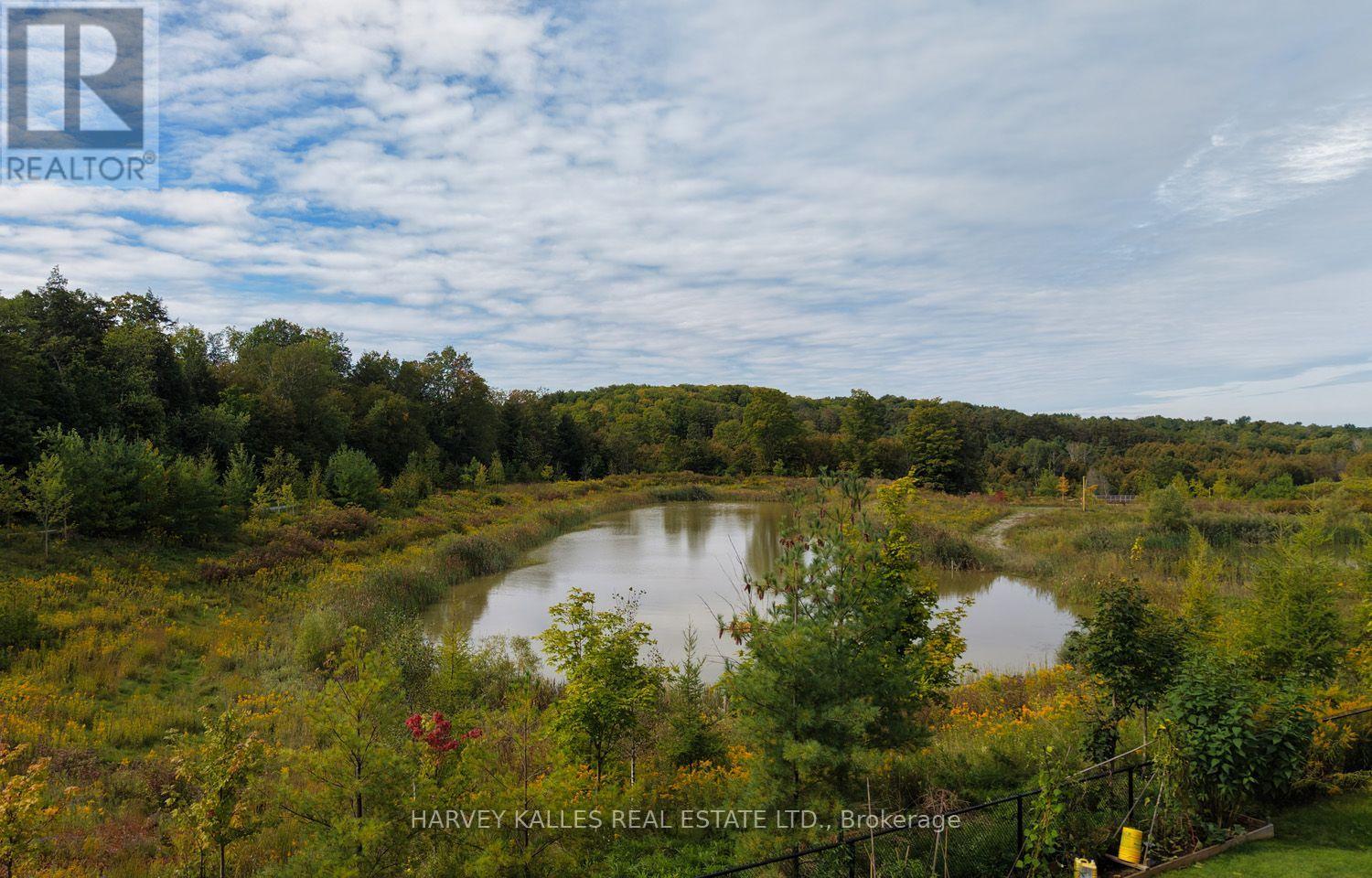 Main Floor - 253 Seaview Heights, East Gwillimbury, Ontario L9N 0Z1 - Photo 45 - N13830440