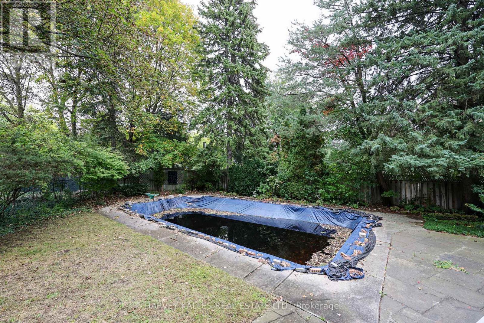 2 Colvestone Road, Toronto, Ontario M2L 1X3 - Photo 6 - C13847790