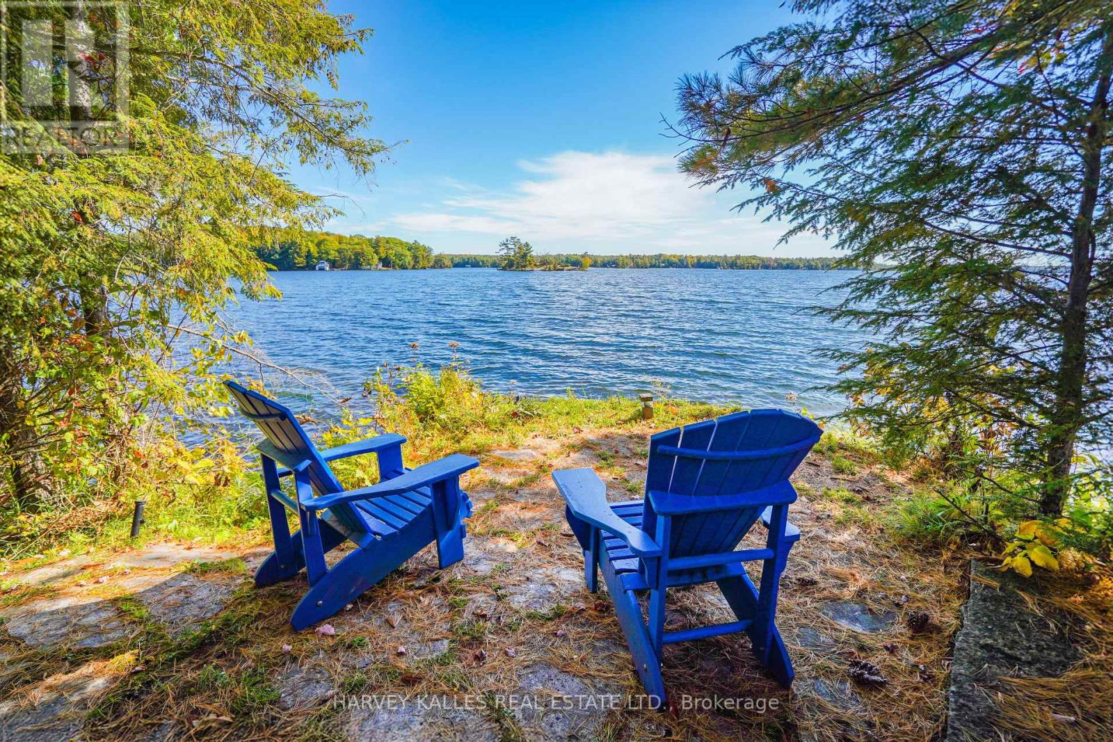 261 Sunrise Trail, Georgian Bay, Ontario L0K 1S0 - Photo 9 - X13885134
