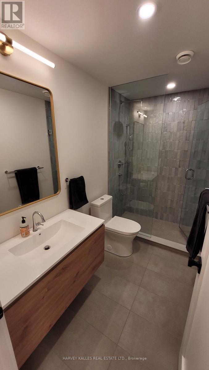 Lower - 66 Argyle Street, Toronto, Ontario M6J 1N9 - Photo 10 - C14032222