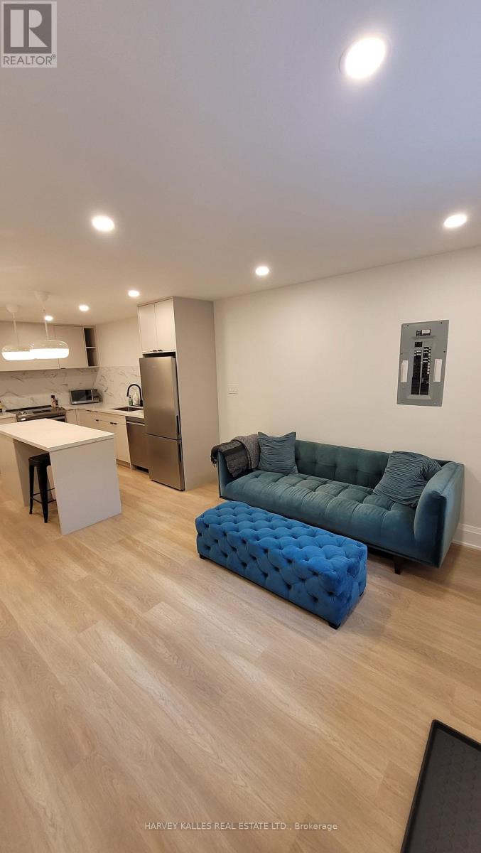Lower - 66 Argyle Street, Toronto, Ontario M6J 1N9 - Photo 3 - C14032222
