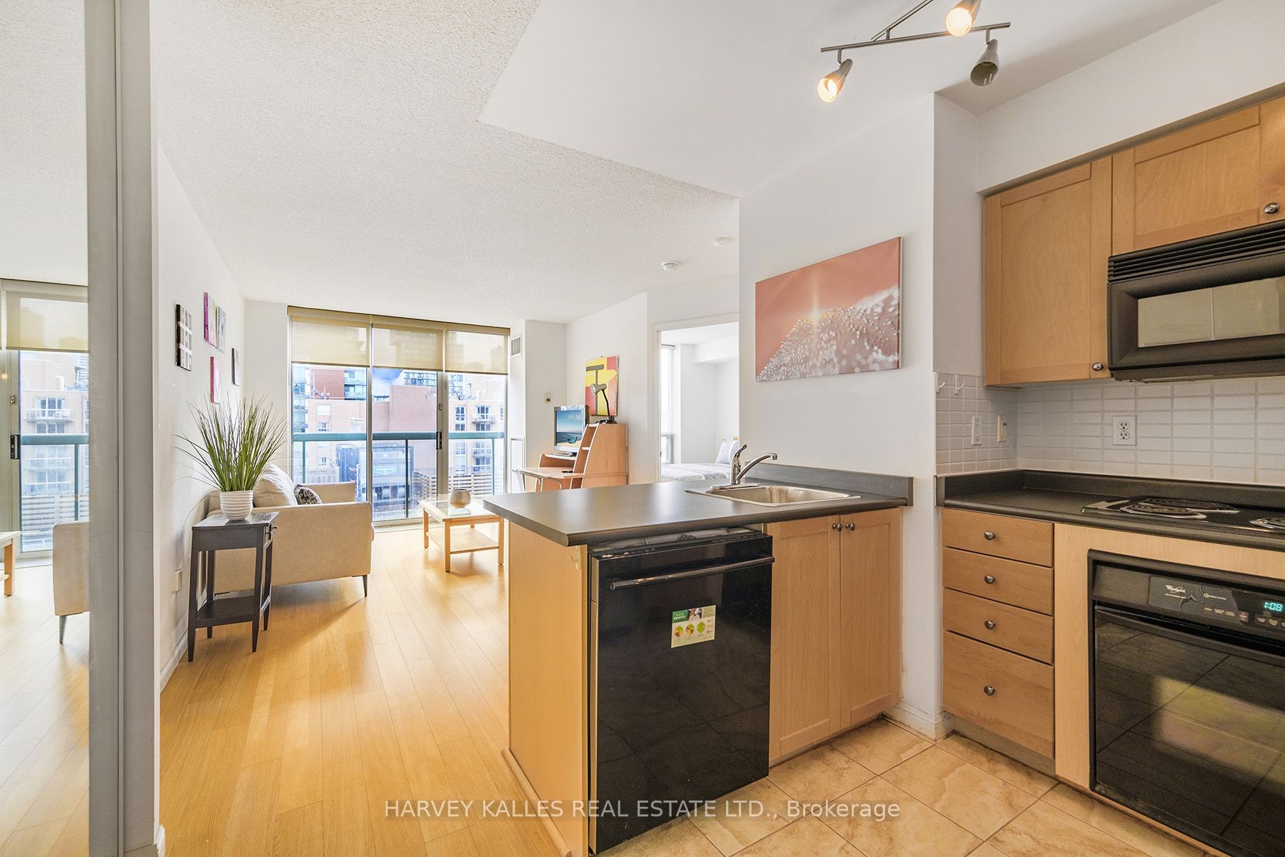 1009 - 311 Richmond Street E, Toronto, Ontario   - Photo 4 - C11944918
